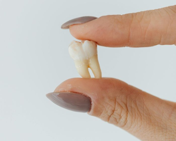 Nunc Volutpat Venenatis